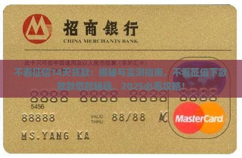 不看征信14天贷款