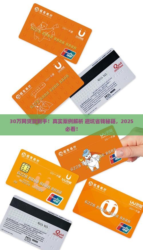 网上贷款30万真实案例