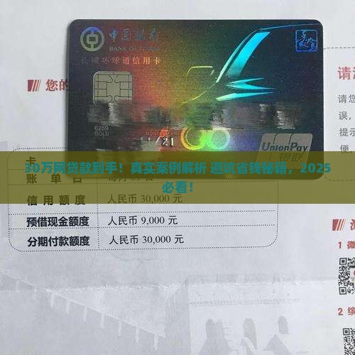 网上贷款30万真实案例
