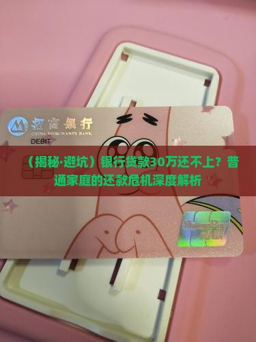 银行贷款30万还不上