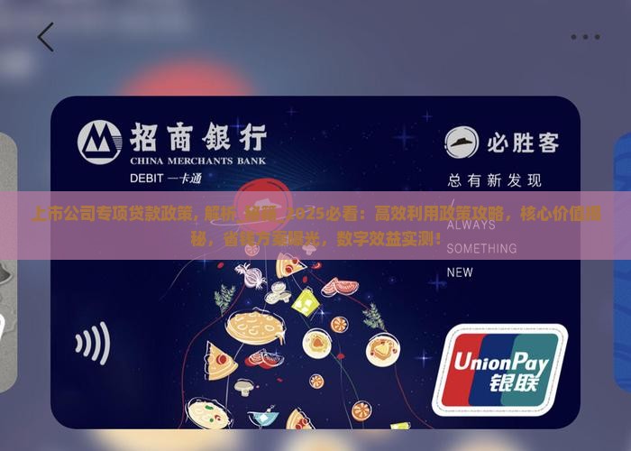 上市公司专项贷款政策