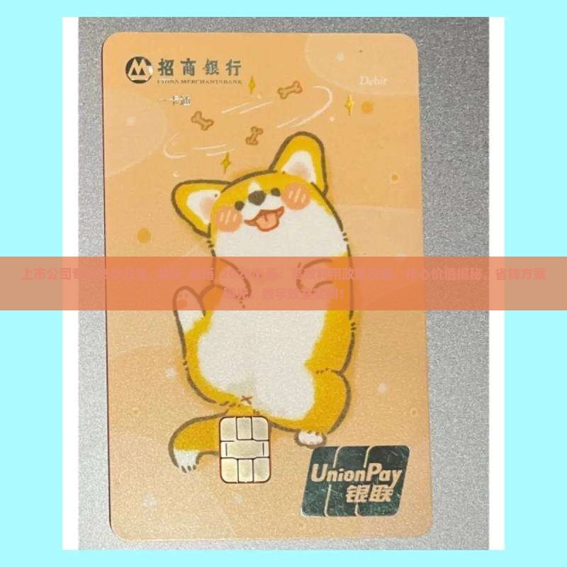 上市公司专项贷款政策
