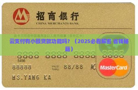 云支付有小额贷款功能吗