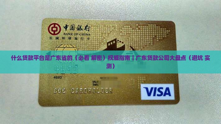 什么贷款平台是广东省的