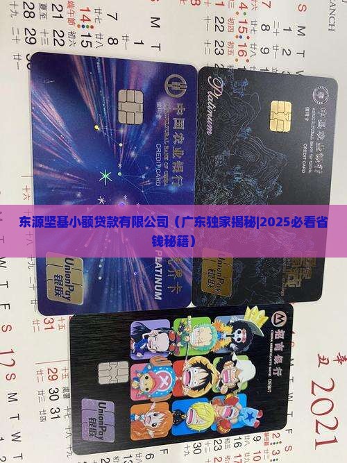 东源坚基小额贷款