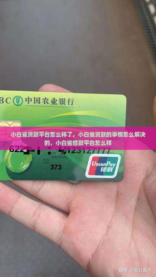 小白鲨贷款平台怎么样了