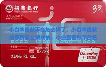 小白鲨贷款平台怎么样了