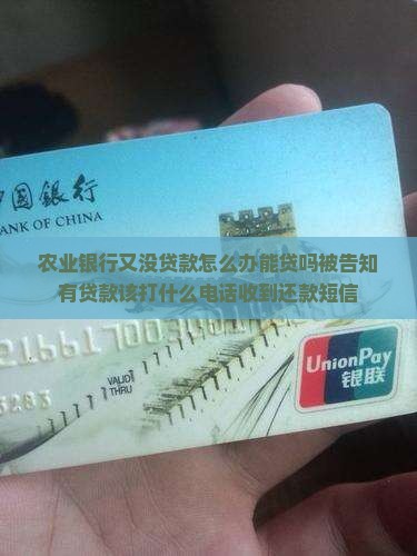 农业银行又没贷款