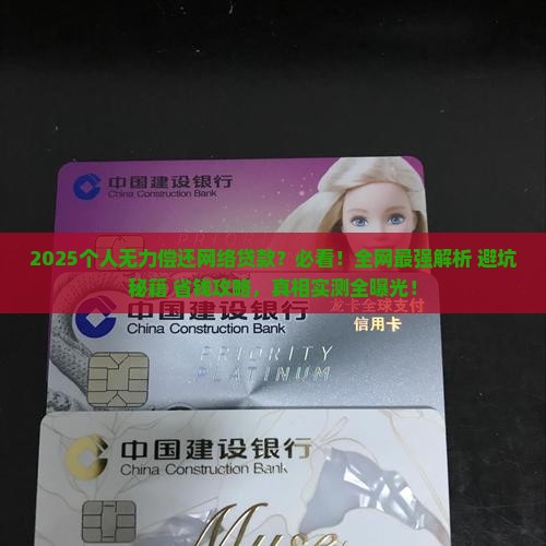 个人无力偿还网络贷款