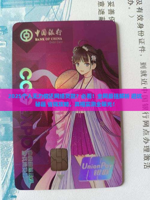 个人无力偿还网络贷款
