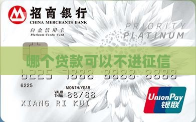 哪个贷款可以不进征信