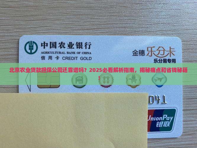 北京农业贷款担保公司