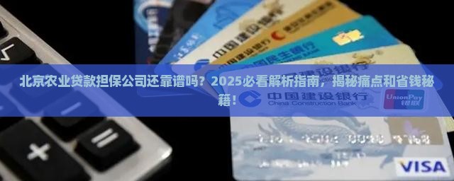 北京农业贷款担保公司