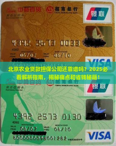 北京农业贷款担保公司