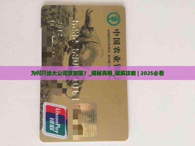 为何只给大公司贷款呢