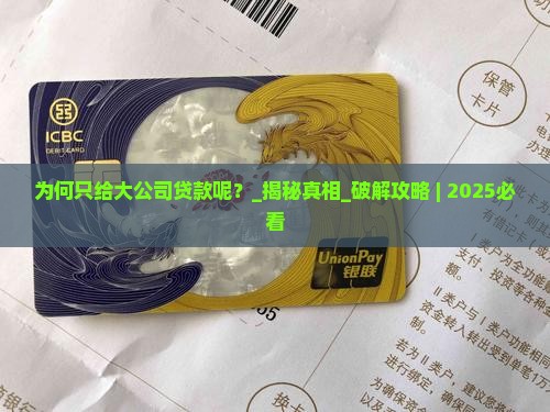 为何只给大公司贷款呢