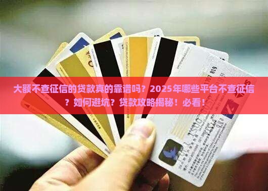 大额不查征信的贷款