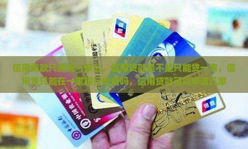 信用贷款只能贷一家么