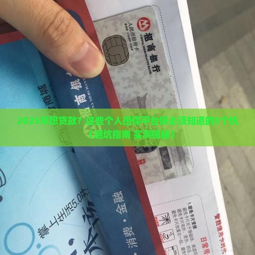 个人担保贷款平台有哪些