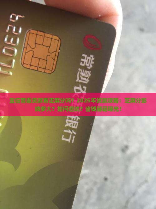 宜信普惠贷款看芝麻分吗