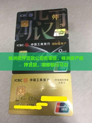 株洲抵押贷款公司有哪些