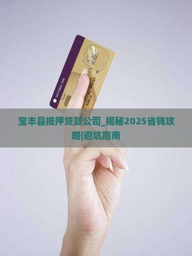 宝丰县抵押贷款公司