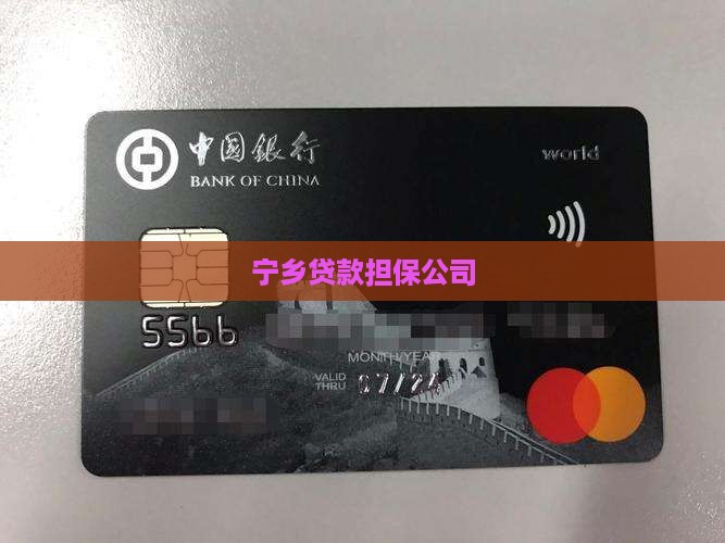 宁乡贷款担保公司