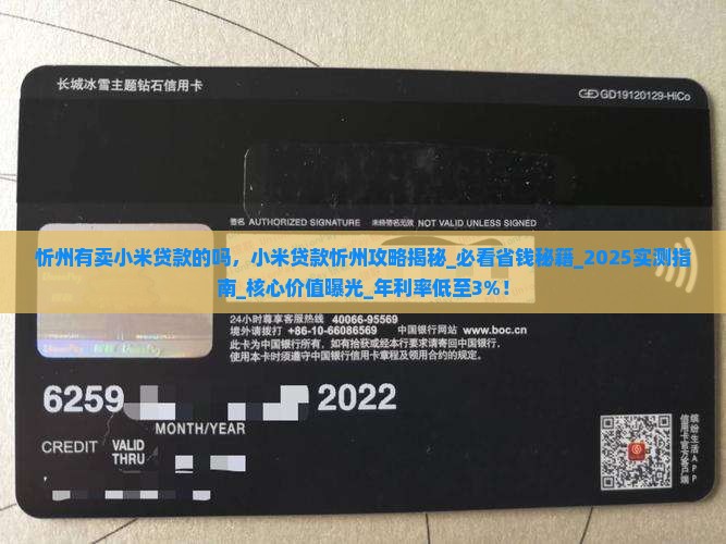 忻州有卖小米贷款的吗