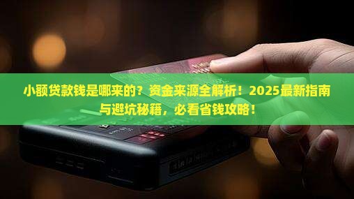 小额贷款钱是哪来的