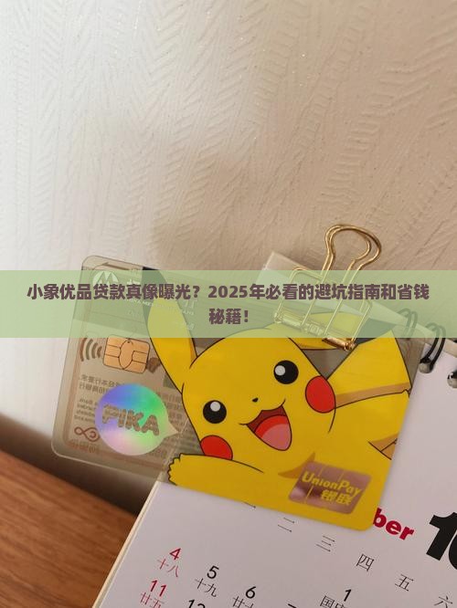 小象优品贷款不能体现吗