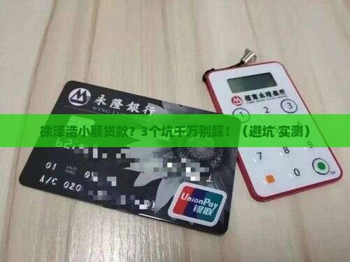 徐泽浩小额贷款