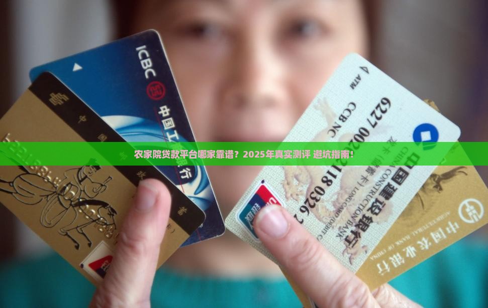 农家院贷款平台哪个好