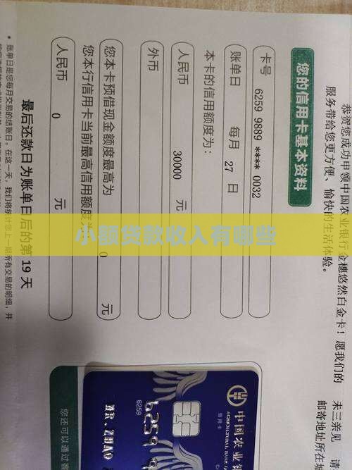 小额贷款有哪些收入