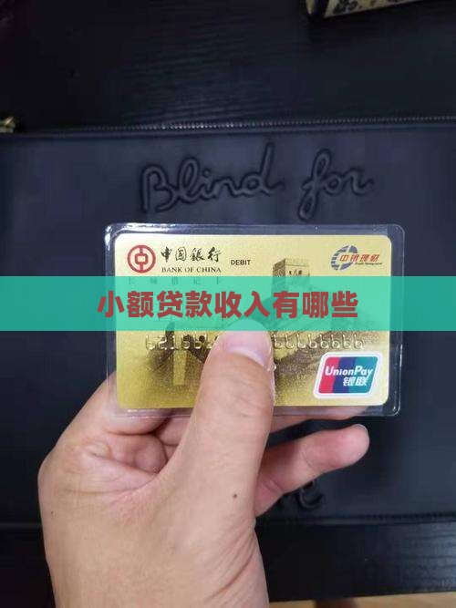 小额贷款有哪些收入