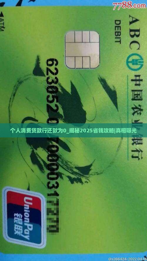 个人消费贷款行还款为0