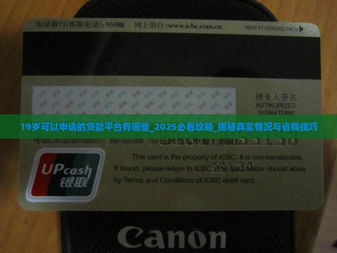 19岁可以申请的贷款平台有哪些