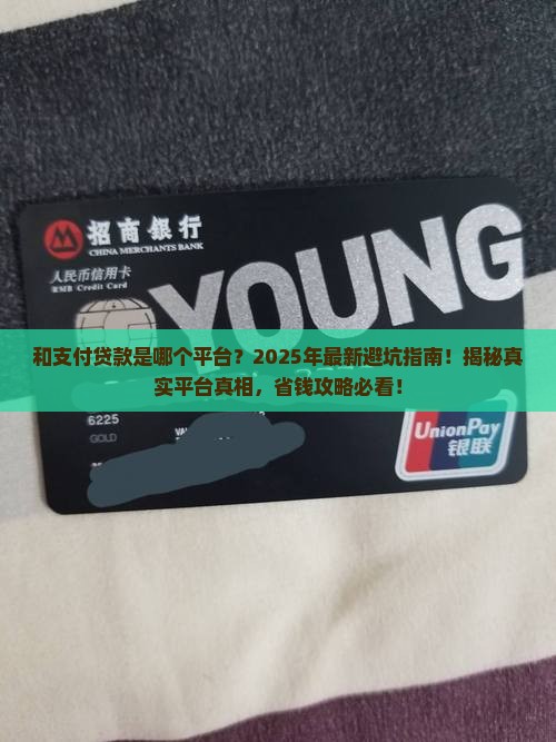 和支付贷款是哪个平台