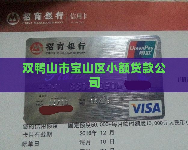 双鸭山市宝山区小额贷款