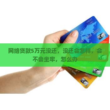 网络贷款5万元没还