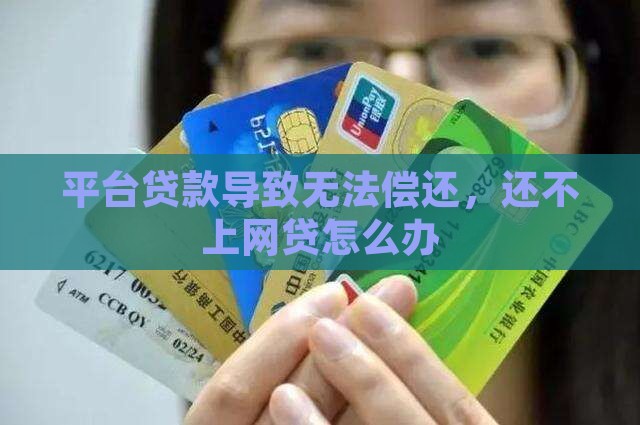 平台贷款导致无法偿还