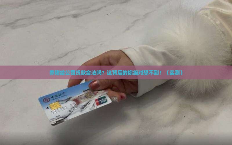 养猪给公司贷款合法吗