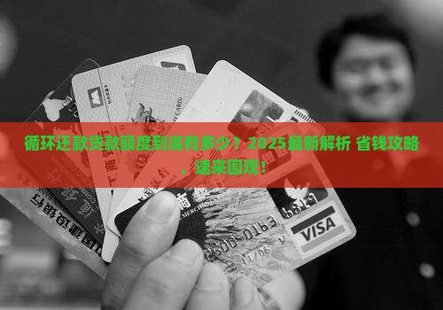 循环还款的贷款额度一般是多少