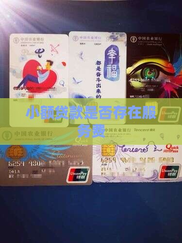 小额贷款存在服务费吗