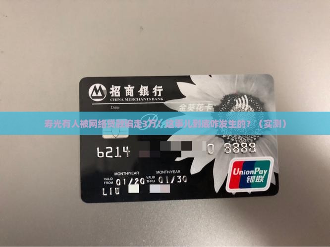 寿光网络贷款被盗案子