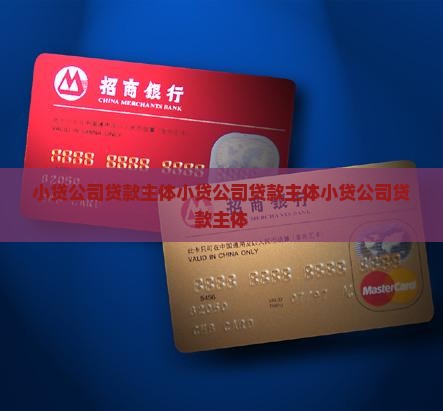 小贷公司贷款主体