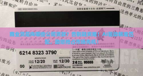 商业贷是向哪些公司贷款