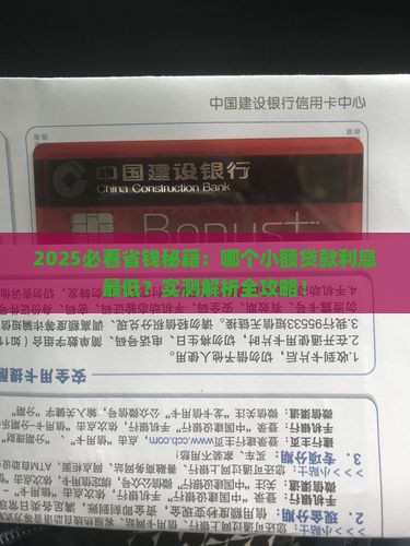 哪个的小额贷款的利息低