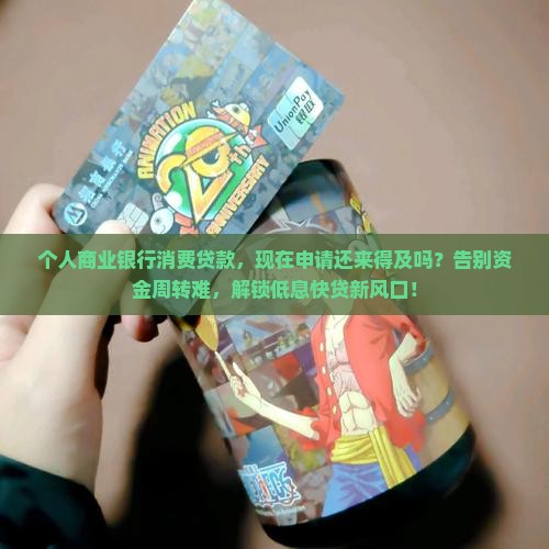 个人商业银行消费贷款