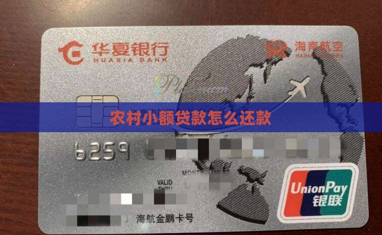 农村小额贷款怎么还款
