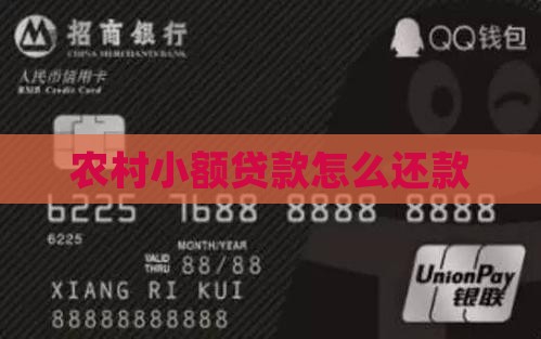 农村小额贷款怎么还款